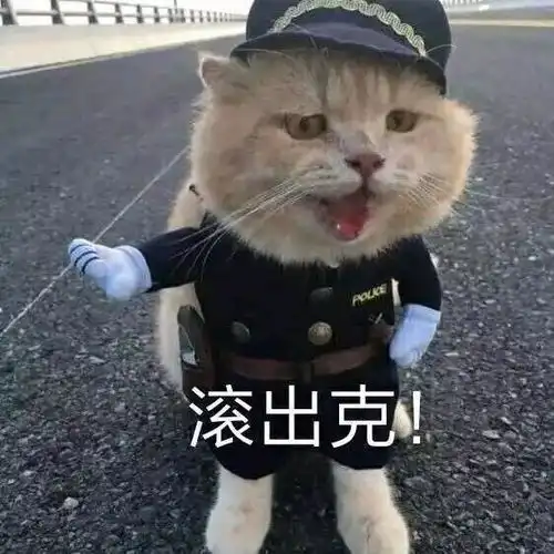 辰希夫妇发糖的时候,我只想回到18岁