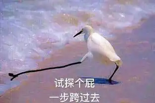 在边缘试探表情包原图在边缘试探系列表情包无水印分享
