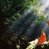 日出时的深山老林头像