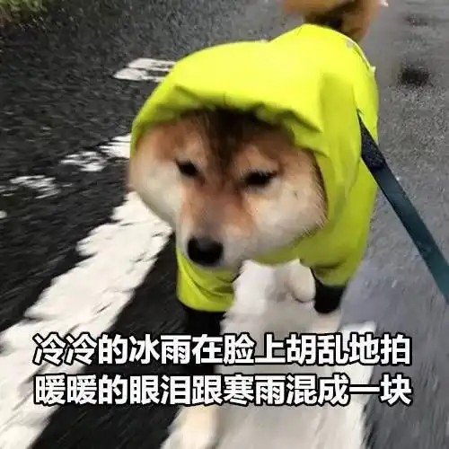厦门气温或将跌破10迎下半年来最低温明后天更冷