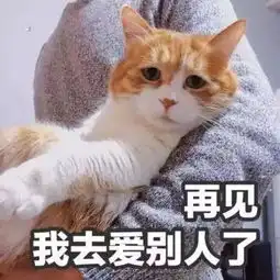 今日份表情包