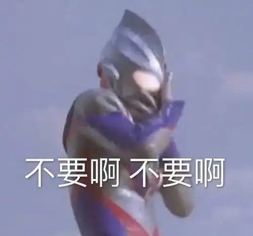 这对cp我先磕为敬