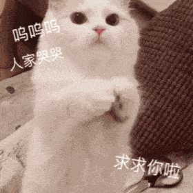 撒娇必备表情包丨会撒娇的人最好命