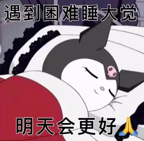 可爱的库洛米三丽鸥表情包六
