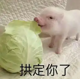 日本当下最流行的命运数字测试,看了薛之谦的分析,我信了