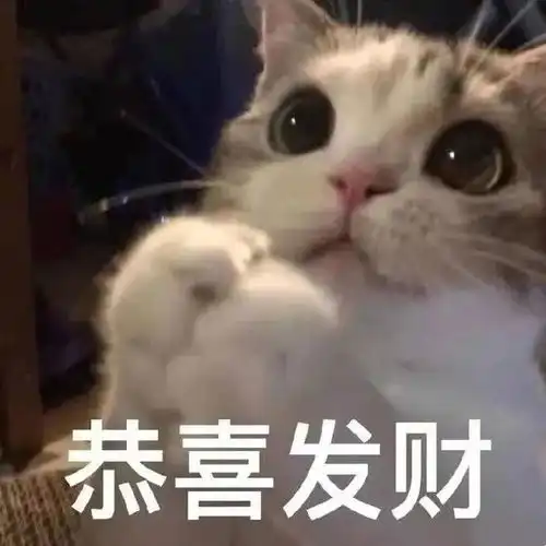 新年必备猫猫可爱表情包