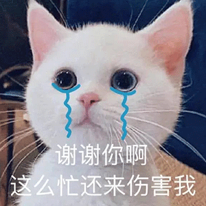 表情包闭麦吧你