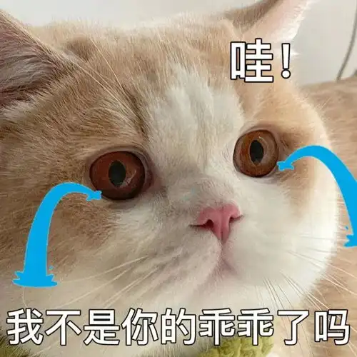 压箱底喵星人表情,认错专用哦