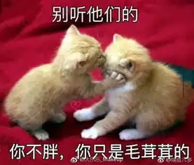 偶像是靠不住的,什么才是正经事