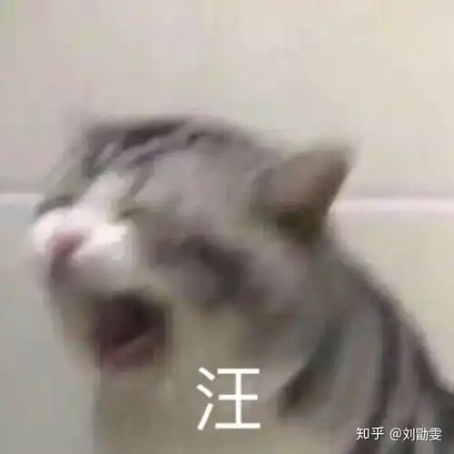 历史网课刘勖雯好还是定哥的好