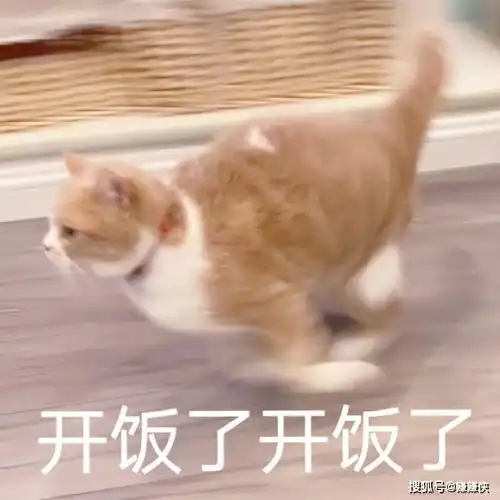 搞笑表情包图片哪里有男人,开饭了