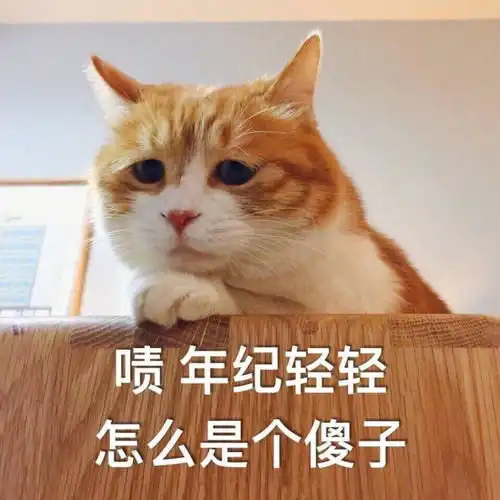 抖音球球表情包