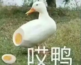 盘点那些沙雕表情包