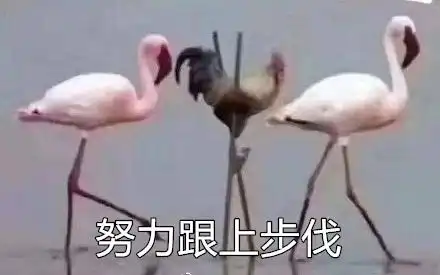 年轻人被社会毒打,从第一次独自去医院开始