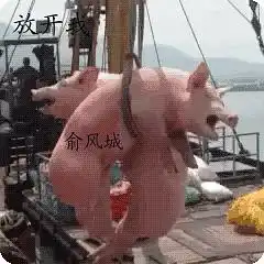 组长表情包流量慎点
