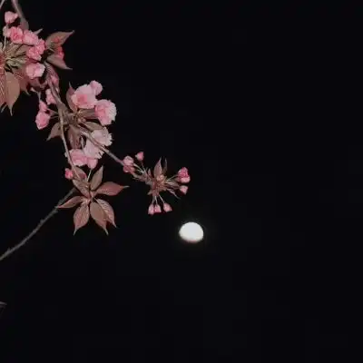小清新图片唯美简约唯美图片我要个性网