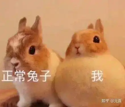 你在几层鸡娃反怼励志公式神解读