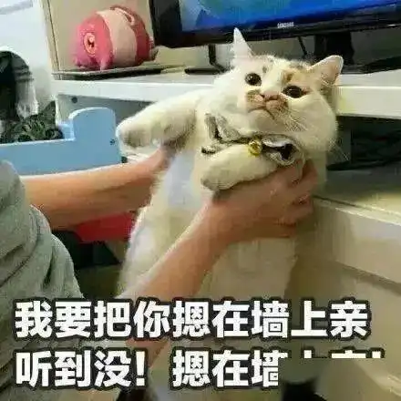 近期热图,抖音表情包