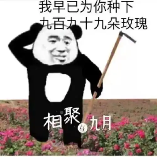 班级对抗赛参赛吧,达瓦里希