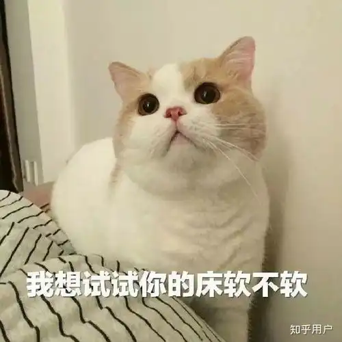 女朋友喜欢口嗨是什么体验