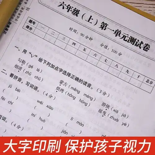 冲刺100分六年级语文rj人教版上册