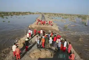 大河向东流,防汛抗洪,齐上手