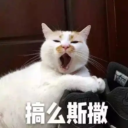 2017年度表情包大赏假笑boy边缘试探.南宁人你最爱的是