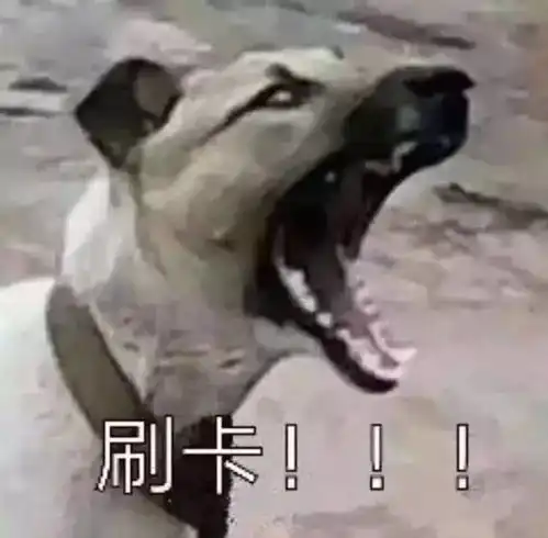 没错这就是你和食堂阿姨每天的生活日常