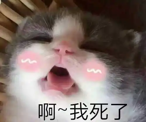 用表情包聊天的背后,究竟是一种怎样的心态
