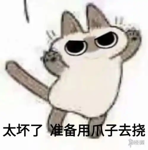 太坏了准备拿眼镜去瞪太坏了猫表情包汇总游侠手游