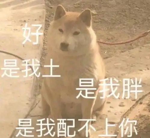 十条笑话听说碰瓷很赚钱,为了钱没办法,狠下心也要做一次