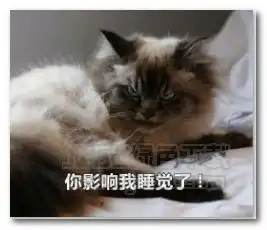 不爽猫表情图片不爽猫表情包完整版jz5u绿色下载站
