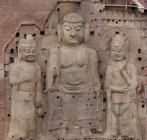 哔哩哔哩专栏