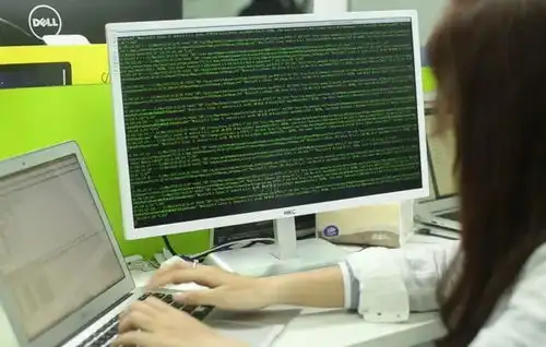 万字长文告诉你,底层程序员的前世今生残酷而明亮