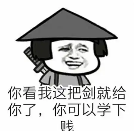 表情包上剑中剑都你都学完了接下来就去人间学下剑吧