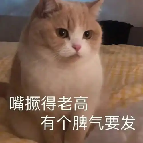 论喵界大佬的形成