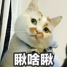 社会人必备的不是小猪佩奇而是它们日本最受欢迎的5款女士通勤包大安利
