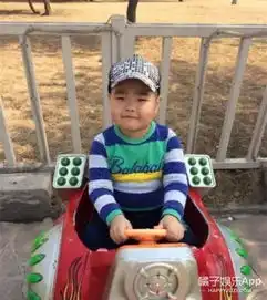 乡爱里的表情包谢飞机,现在长大不少啦