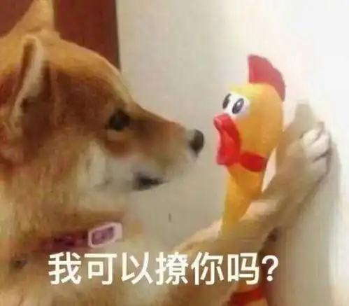 可爱又沙雕适合跟对象聊天用的表情包