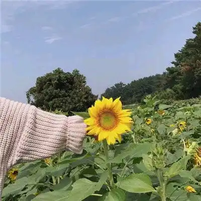 男人是不是真的爱你,先掂量一下这些表现,现实才是真理