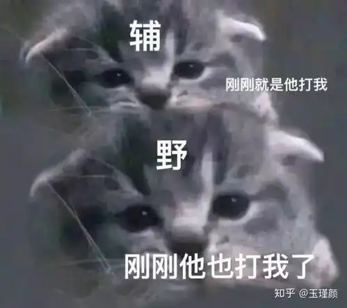 有没有什么特别搞笑的王者荣耀表情包