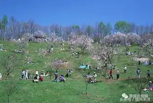 萧县十大旅游景点,你知道几个