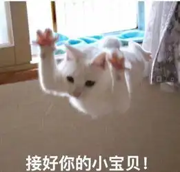 pentakill视频直播全集pentakill资料大全yy官方