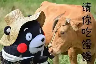 昆明人专属表情包,笑shi你我可不负责