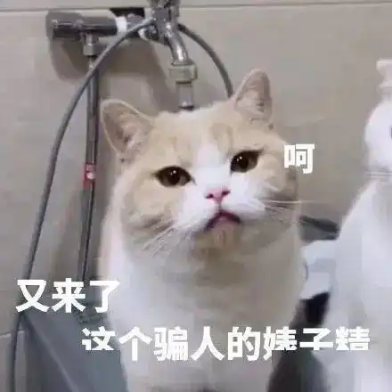 停车快停车丨第182期喵表情