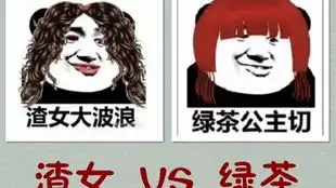老虎老师的私人授课