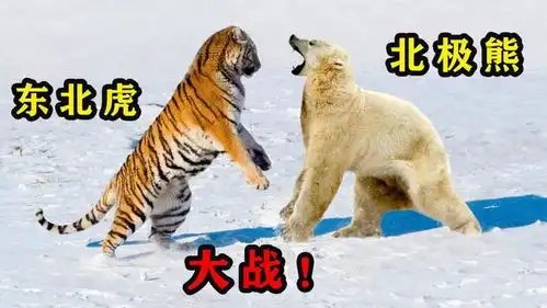 这种陆地最大食肉动物,却总是被人低估东北虎遇上它都要认输