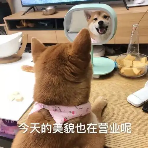 工科的你,是否也想借考研进入管理层
