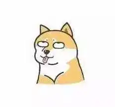 狗年啦,测试一下你是哪种狗子吧