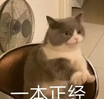 他俩也悄咪咪离婚了豪门媳妇果然不好当